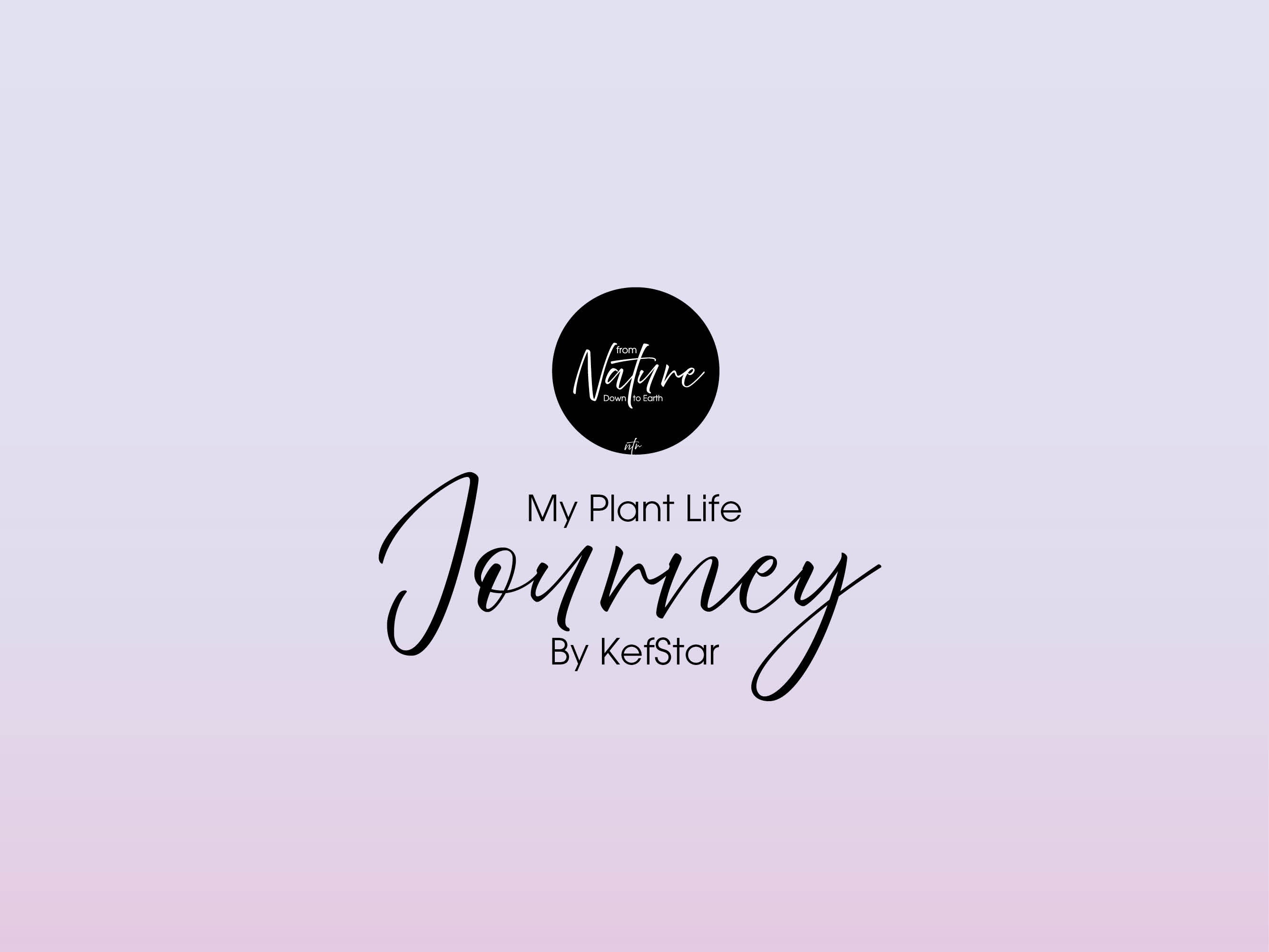My Plant Life Journey