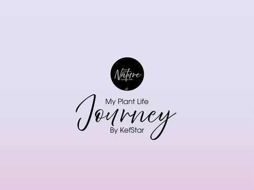 My Plant Life Journey